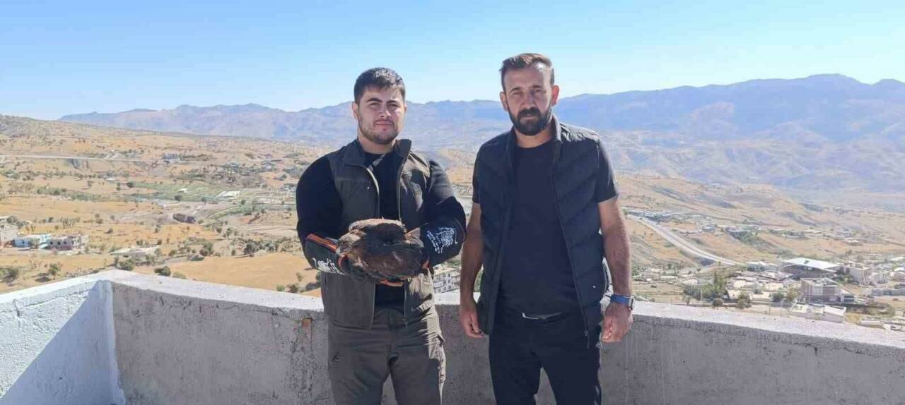 Şırnak'ta, duyarlı vatandaşlar tarafından yaralı ve bitkin bir halde bulunan