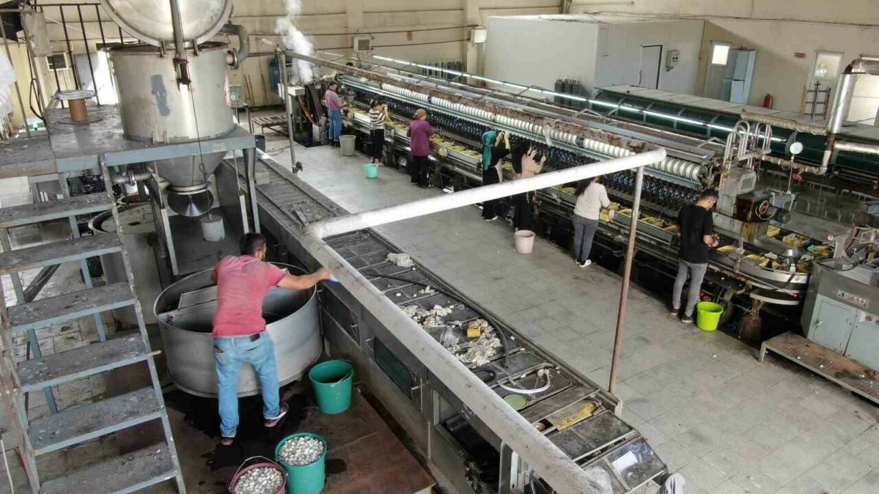 Diyarbakır’ın Kulp ilçesinde bulunan Türkiye’nin tek ipek iplik fabrikasında, ülkenin