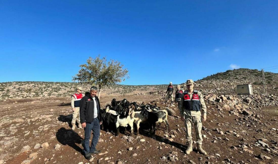 Kilis'in Polateli ilçesine bağlı