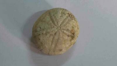 Adıyaman’ın Olgunlar köyü kırsalında doğa gezisi yapan iki öğretmen, yaklaşık