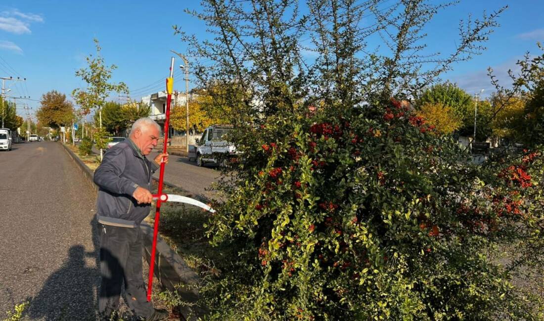 Adıyaman Belediyesi Park ve