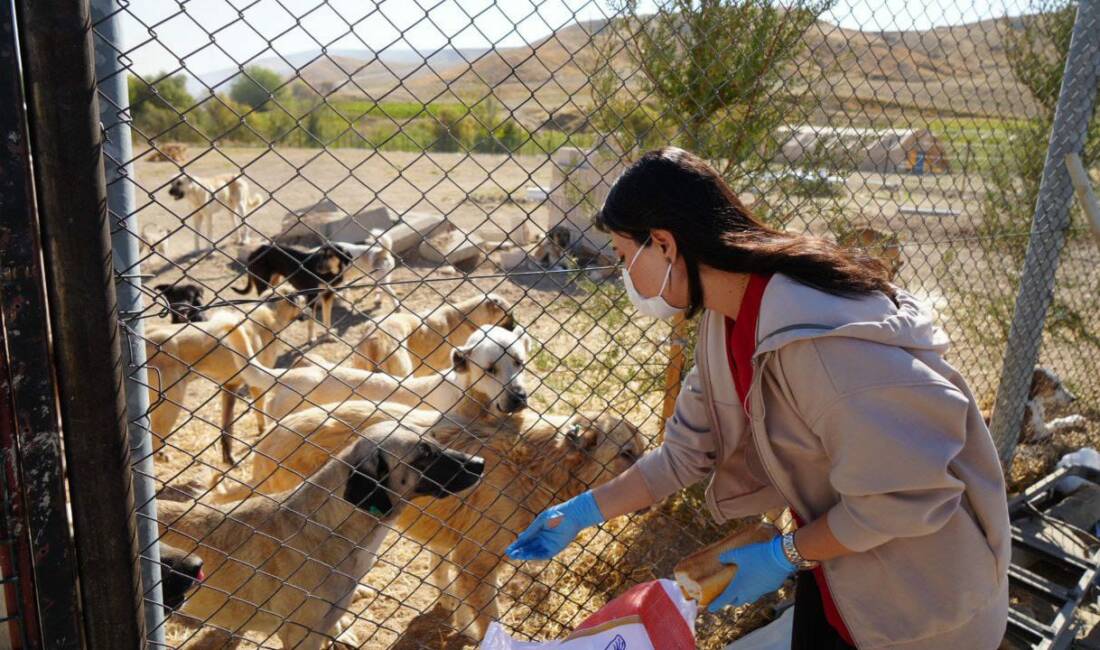 Adıyaman Belediyesi Veterinerlik Müdürlüğü