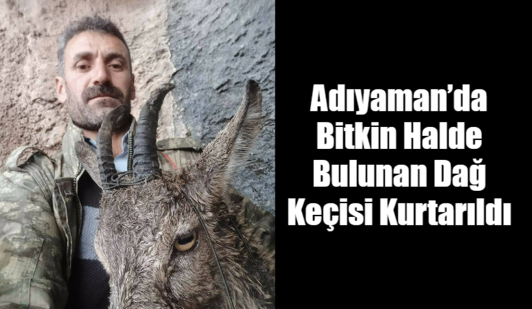 Adıyaman’ın Sincik ilçesinde doğada