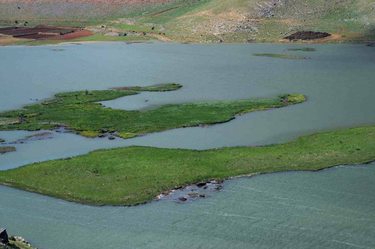 Adıyaman’da yüzen adaların kurtarılması için çalışma başlatıldı