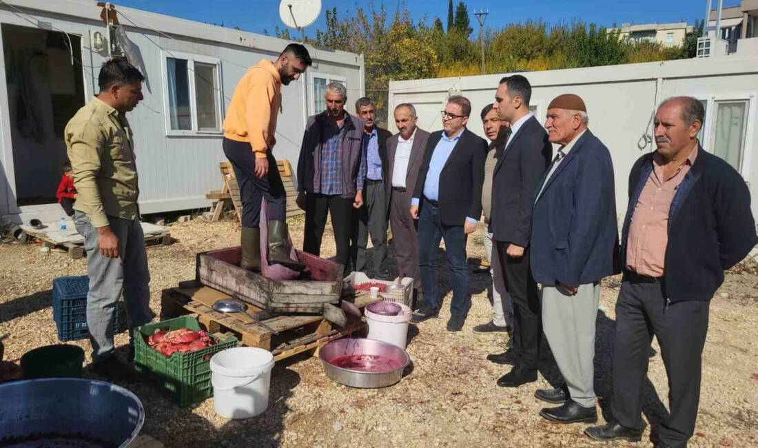 Türkiye’deki önemli nar üretim