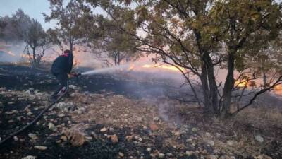 Adıyaman'ın Gölbaşı ilçesine bağlı Çatalağaç Köyü kırsalında çıkan anız yangını,