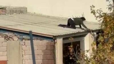 Adıyaman’da, bir apartmanın çatısına çıkarak olukları temizlemeye çalışan kadın, çevredekilerin