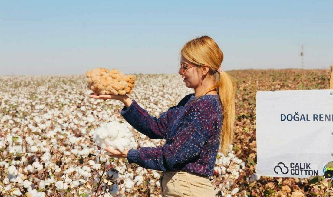 Şanlıurfa’nın Ceylanpınar ilçesinde, üniversite