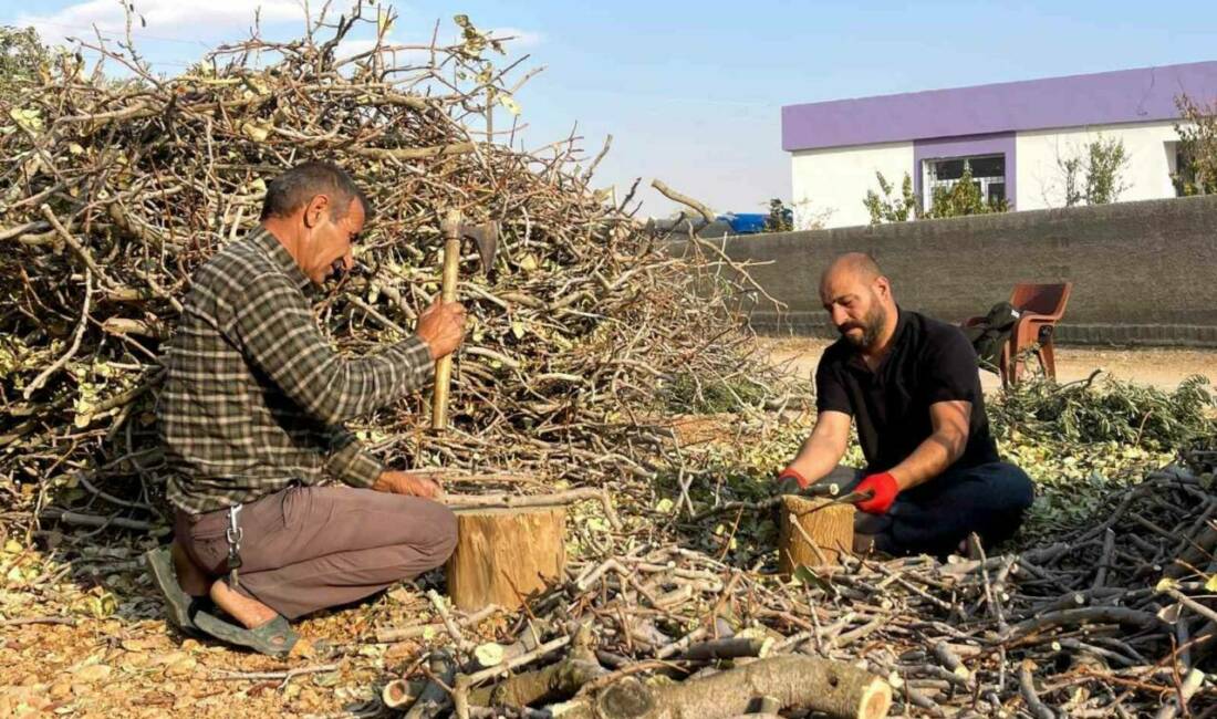 Şanlıurfa'nın Suruç ilçesinde sonbahar