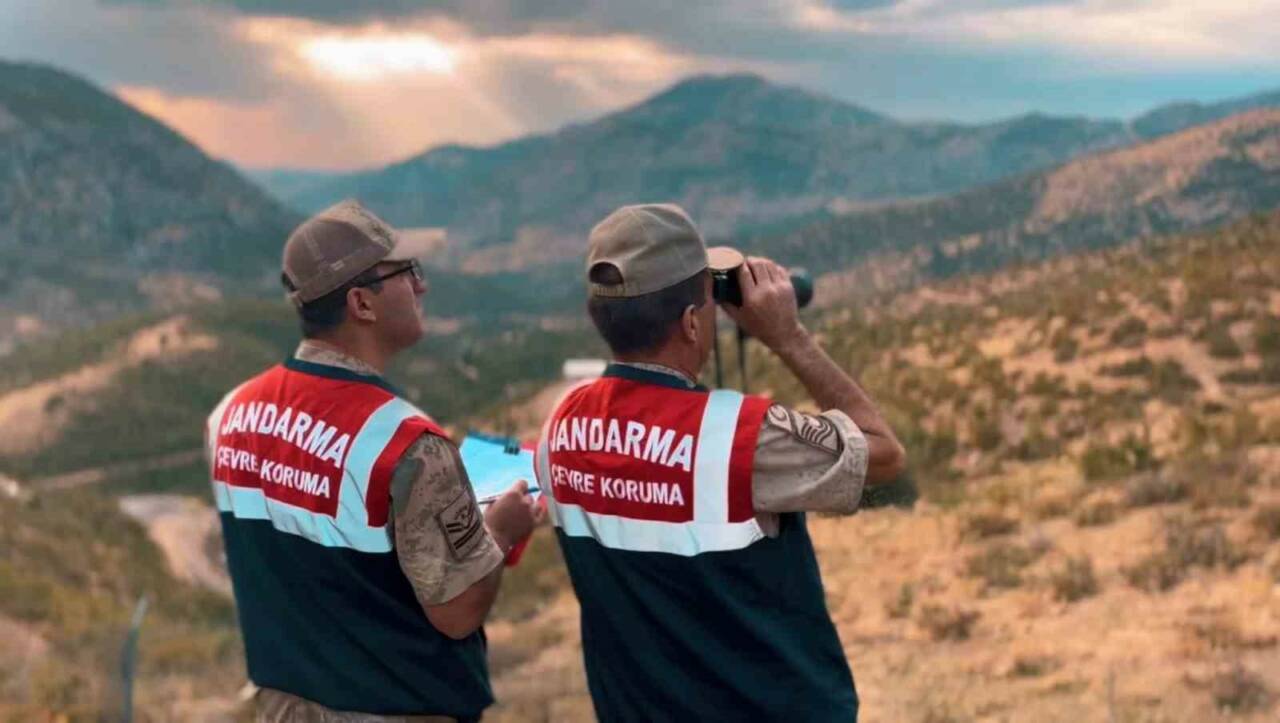 Jandarmadan Doğayı ve Hayvanları Koruma Seferberliği