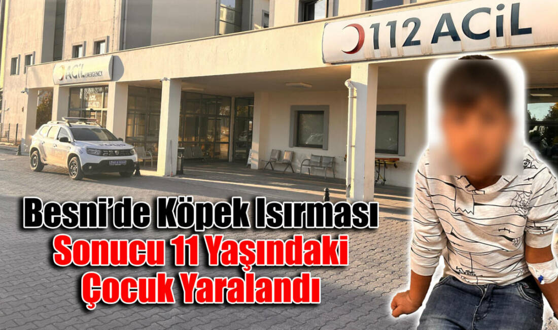 Besni'nin Yukarı Sarhan Mahallesi'nde