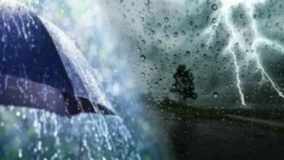 Besni'deki hava durumu verilerine göre, 24 Kasım Pazar günü oynanacak