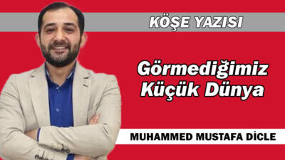 Görmediğimiz Küçük Dünya