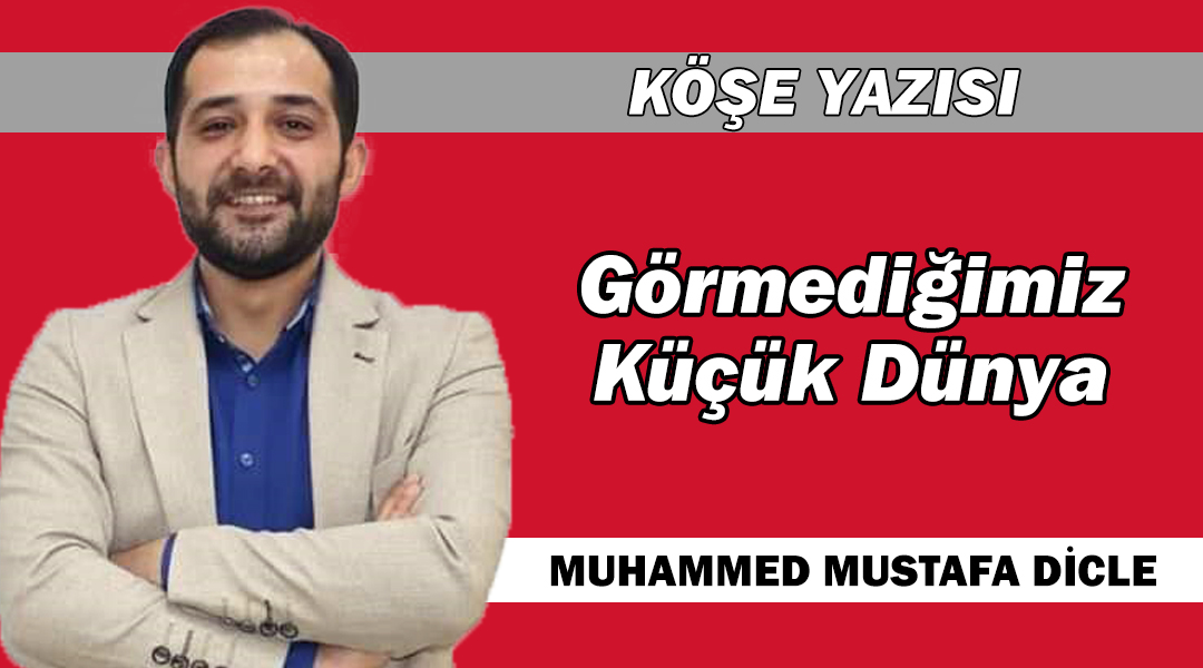 Görmediğimiz Küçük Dünya