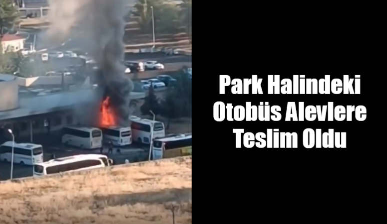 Park Halindeki Otobüs Alevlere Teslim Oldu