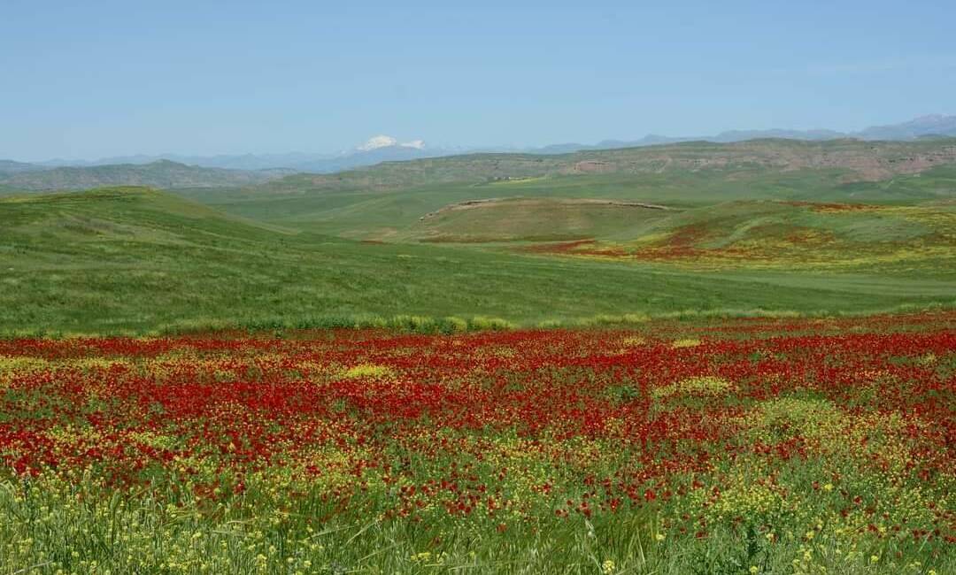 Siirt’in Kurtalan ilçesinde yer