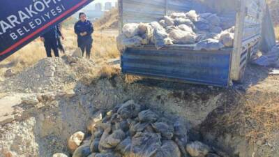 Şanlıurfa’nın Karaköprü ilçesinde, ihbar üzerine yapılan denetimde ele geçirilen yaklaşık