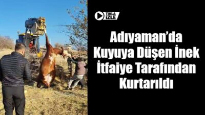 Adıyaman’ın Kömür Beldesi’nde, kullanılmayan 15 metre derinliğindeki bir su kuyusuna