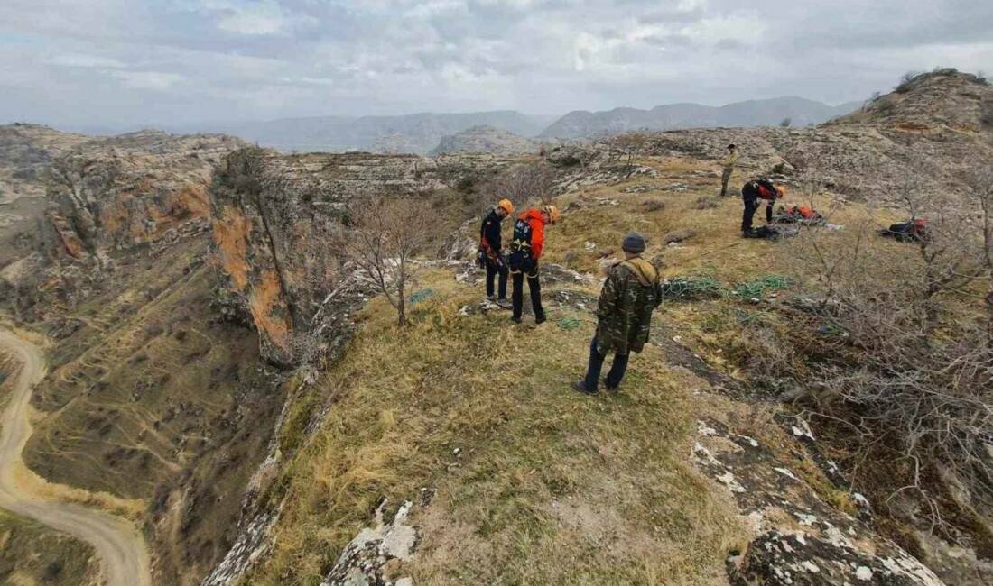 Batman’ın Hasankeyf ilçesinde bin