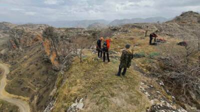 Batman’ın Hasankeyf ilçesinde bin 500 rakımlı sarp kayalıklarda mahsur kalan