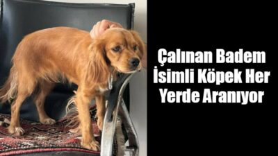 Adıyaman Küçük Sanayi Sitesi yakınlarındaki bir akaryakıt istasyonunda meydana gelen