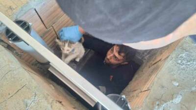 Adıyaman'ın Kahta ilçesinde, Kahta Belediyesi ekipleri bir evin havalandırma boşluğunda