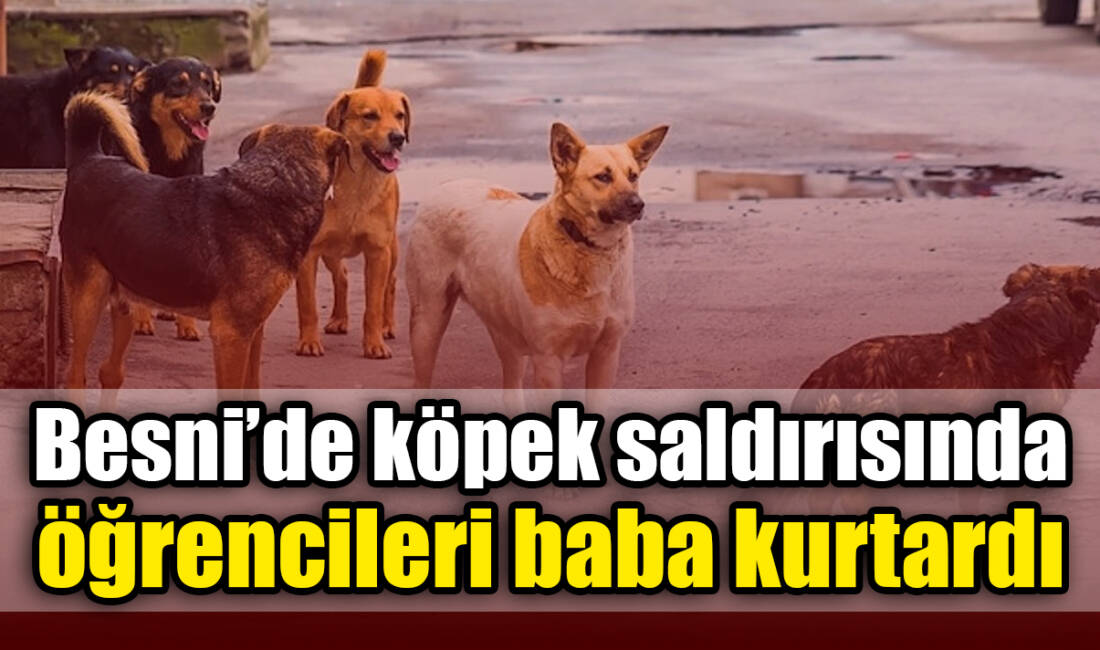 15 Temmuz Mahallesinde sabahın