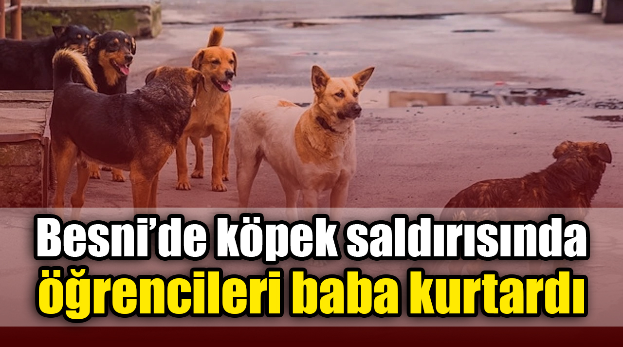 Besni’de köpek saldırısında öğrencileri baba kurtardı