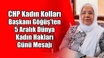 Cumhuriyet Halk Partisi (CHP) Besni Kadın Kolları Başkanı Emine Göğüş,