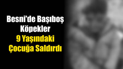 Besni'ye bağlı Toklu köyünde 9 yaşındaki A. U., başıboş köpeklerin