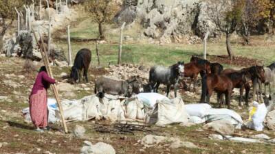 Şırnak'ta göçerlerin kışlaklara doğru zorlu yolculuğu devam ederken jandarma ekipleri