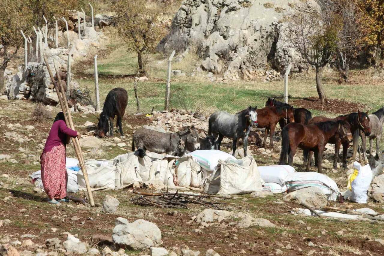 Şırnak’ta Göçerler Beytüşşebap’tan Yola Çıktı