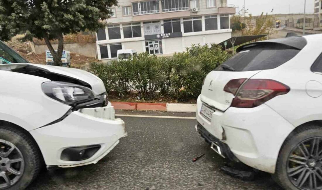 Mevsimin şartları nedeniyle yoğun