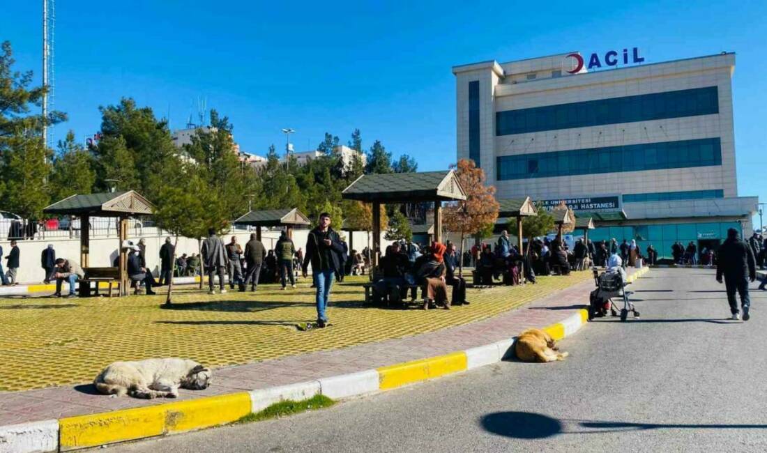 Diyarbakır’ın Sur ilçesinde başıboş sokak köpeği saldırısına uğrayan 5 yaşındaki