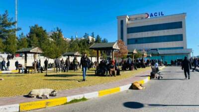 Diyarbakır’ın Sur ilçesinde başıboş sokak köpeği saldırısına uğrayan 5 yaşındaki