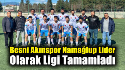1. Amatör Küme B Grubu'nda mücadele eden Besni Akınspor, sezonun