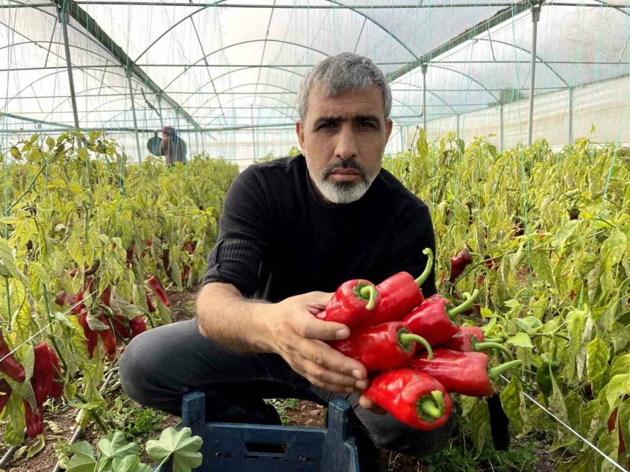 Güneydoğu Anadolu Projesi (GAP) ile Harran Ovası’nın ve çevresindeki tarım