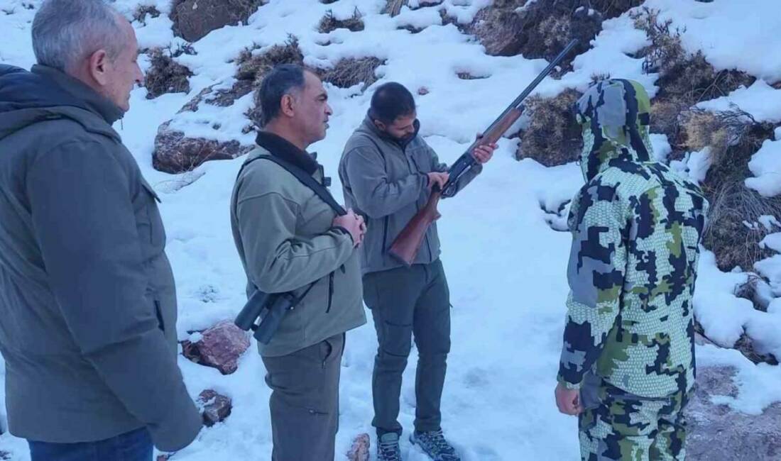 Adıyaman’da sayıları 3 bini geçen yaban keçilerinin avlanılmasının önüne geçmek