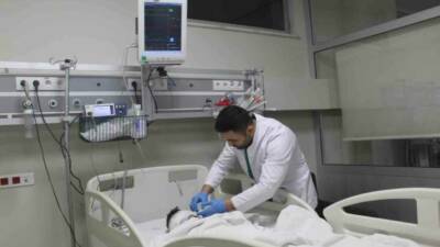 4,5 yaşındaki bir çocuk, sokak köpeklerinin saldırısına uğrayarak ağır yaralandı.