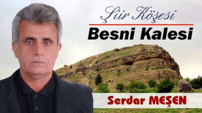 BESNİ KALESİ (Şiir)