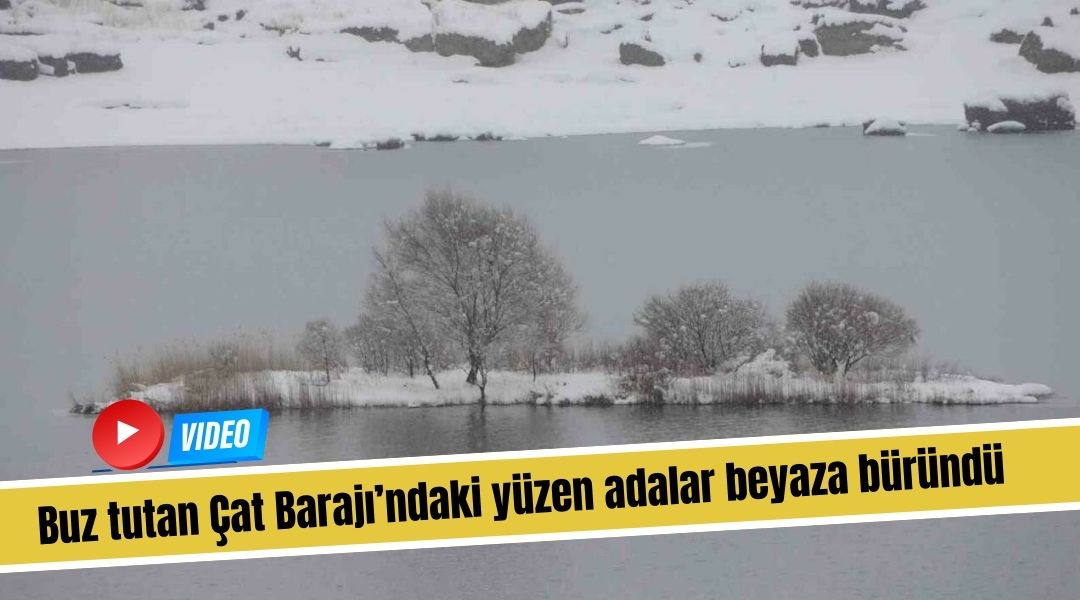 Dünyada eşine az rastlanan Adıyaman’ın Çelikhan ilçesi Çat Barajı’ndaki yüzen