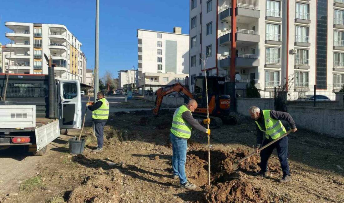 Adıyaman’ın Kahta ilçe Belediyesi, Park Bahçe Müdürlüğüne bağlı ekipler, Kahta’nın