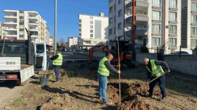 Adıyaman’ın Kahta ilçe Belediyesi, Park Bahçe Müdürlüğüne bağlı ekipler, Kahta’nın