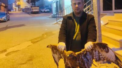 Siirt’in Kurtalan ilçesinde bir vatandaşın bahçesinde ayağına ip dolanan kartal,