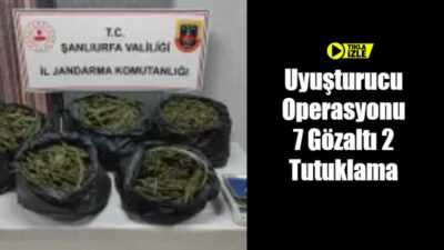 Şanlıurfa'da polis ve jandarma ekiplerinin ortak düzenlediği uyuşturucu operasyonunda yüklü