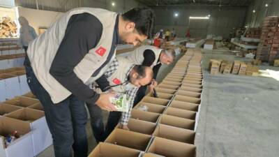 Yedi Başak İnsani Yardım Derneği, Gazze’de ateşkes sonrası hayatta kalma