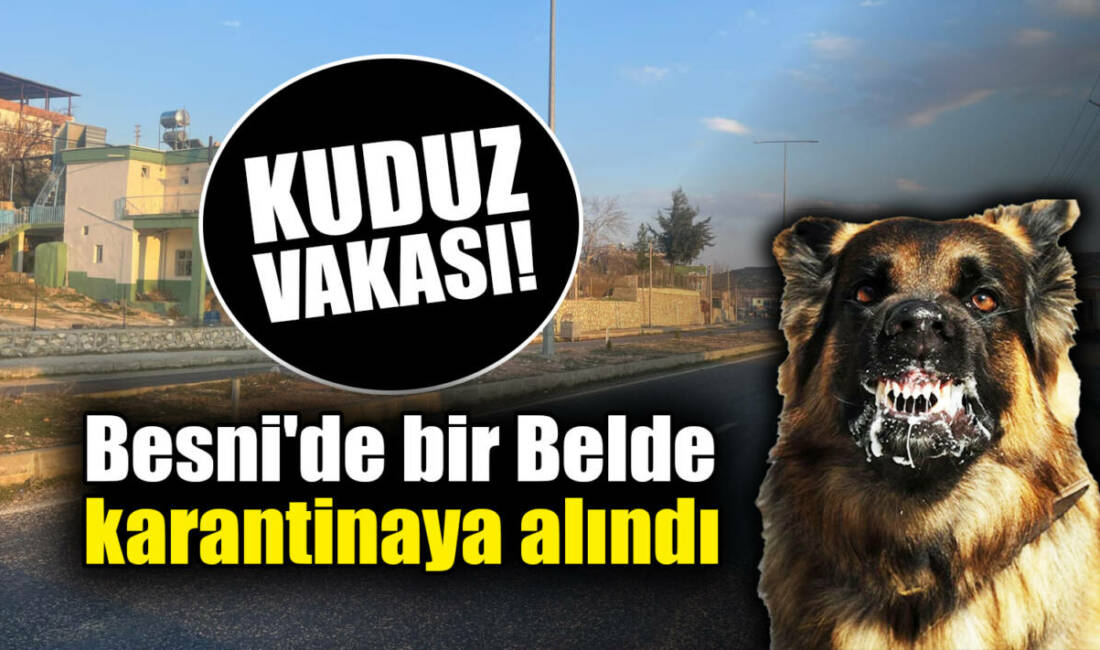 Kuduz Vakası: Besni’de bir Belde karantinaya alındı Besni'ye bağlı bir Beldede saldırganlaşan bir köpekte alınan numunelerin Pozitif
