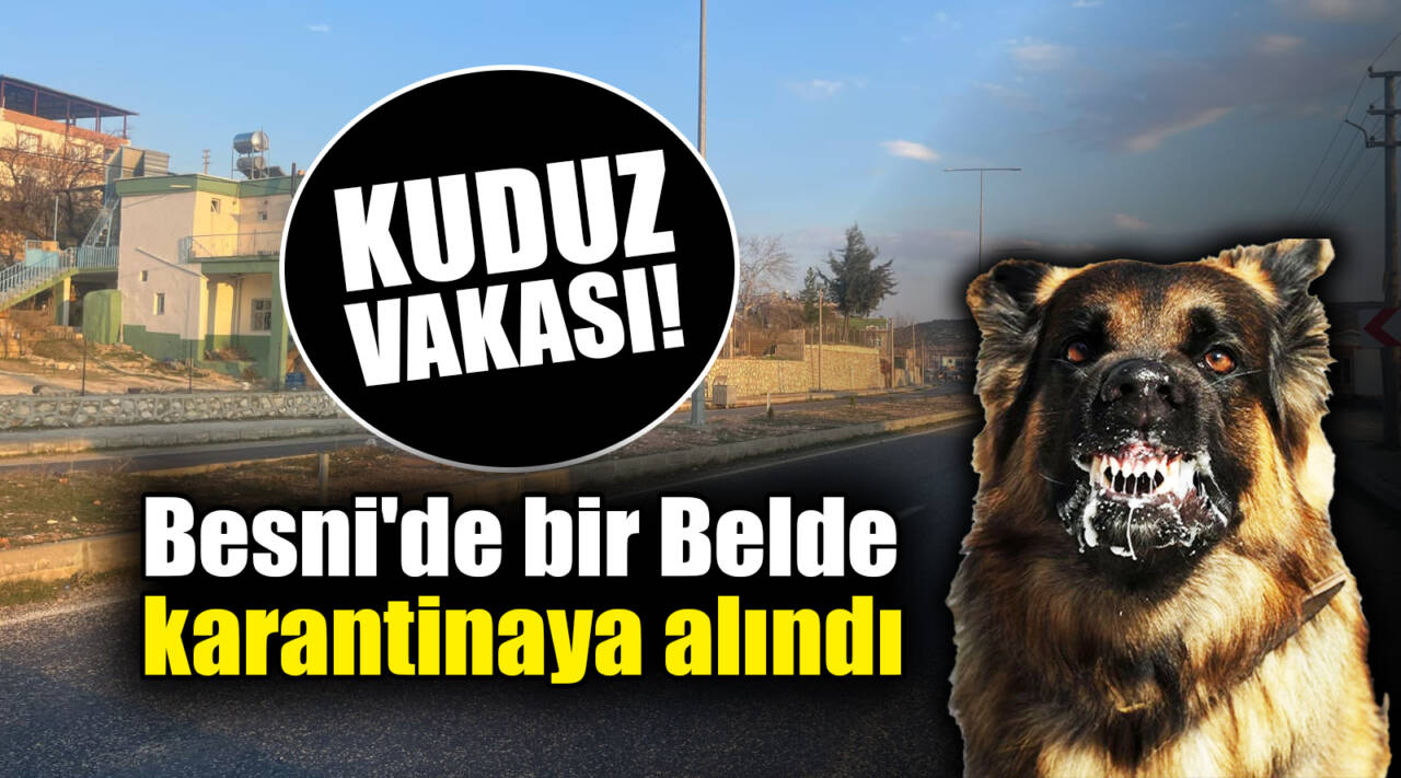 Besni'ye bağlı bir Beldede saldırganlaşan bir köpekte alınan numunelerin Pozitif