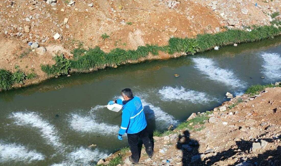 Yaz mevsiminin yaklaşmasıyla birlikte haşere kaynaklı sorunların önüne geçmek isteyen