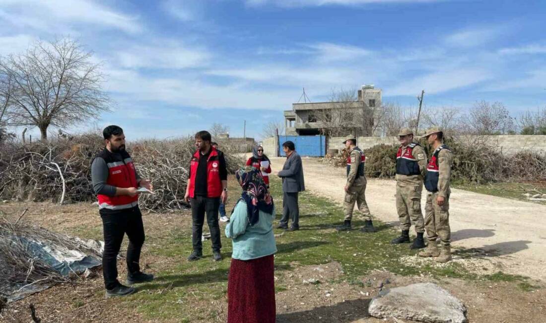 Şanlıurfa'da Antep fıstığı üretiminde verim kaybını önlemek amacıyla budama artıklarını